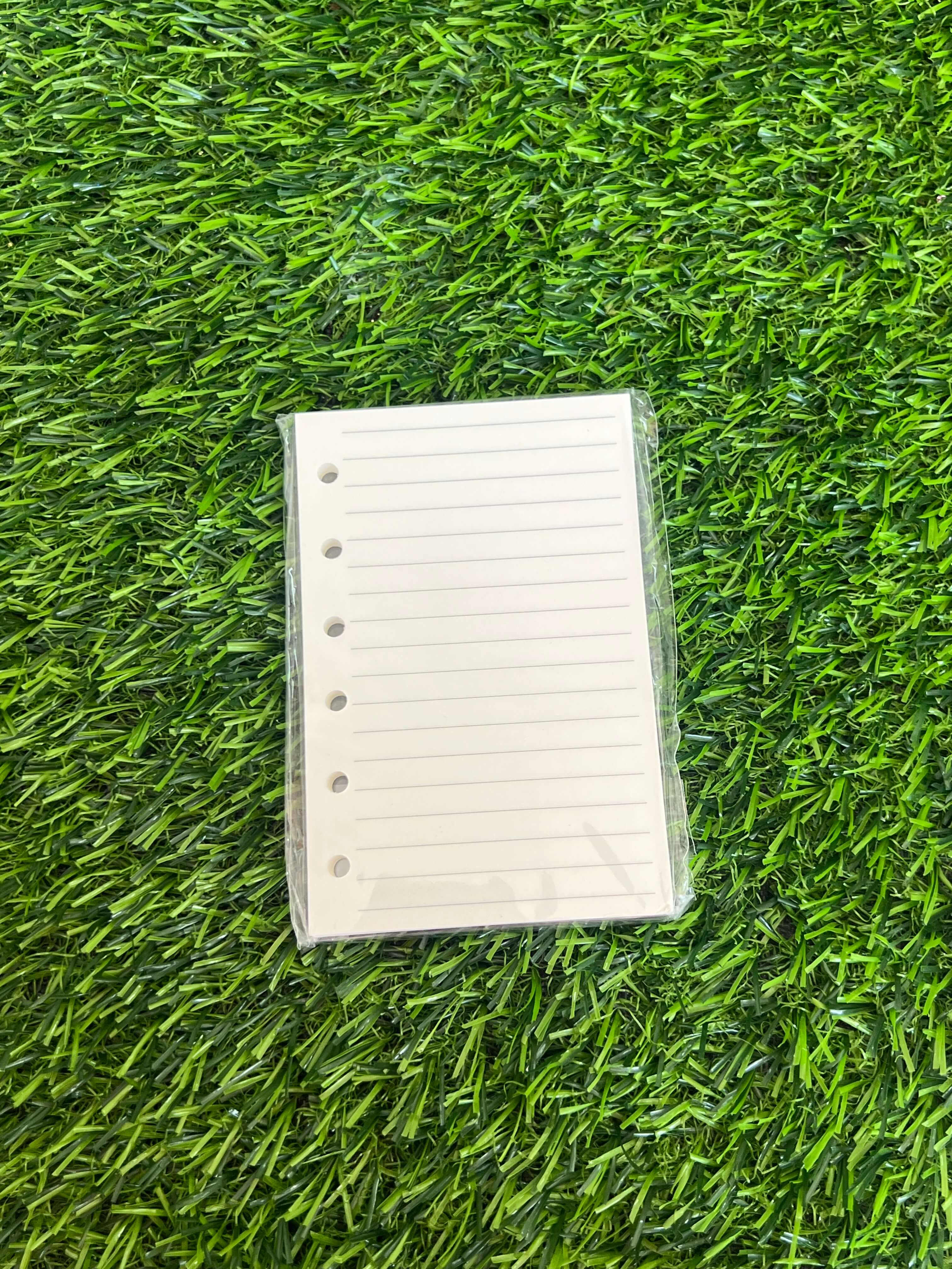 Hojas De Rayas Agenda S A7